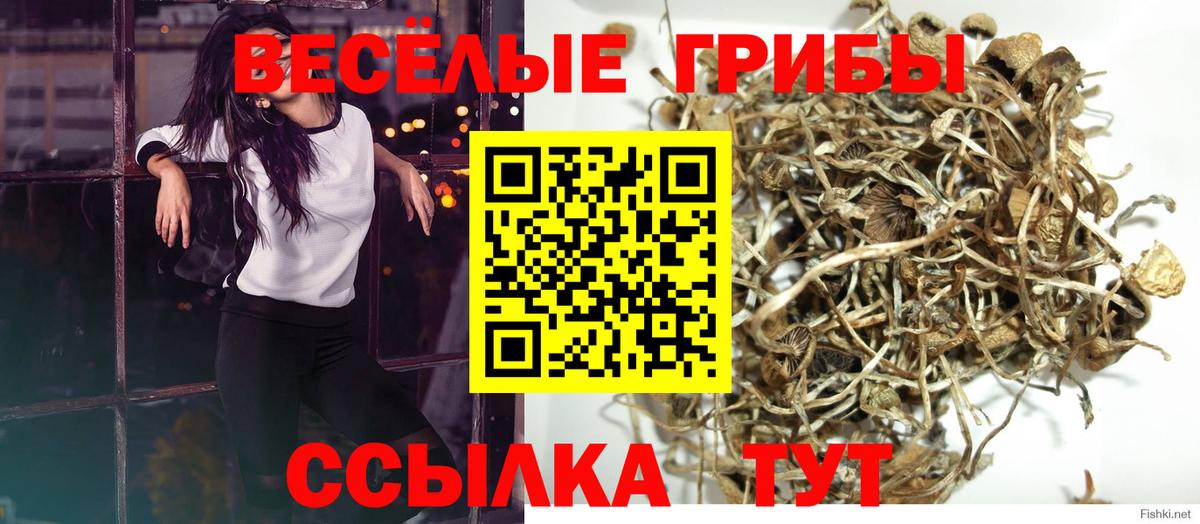 Набережные Челны  Псилоцибиновые грибы MAGIC MUSHROOMS  Вход с VPN  Галлюциногенные грибы Cubensis 